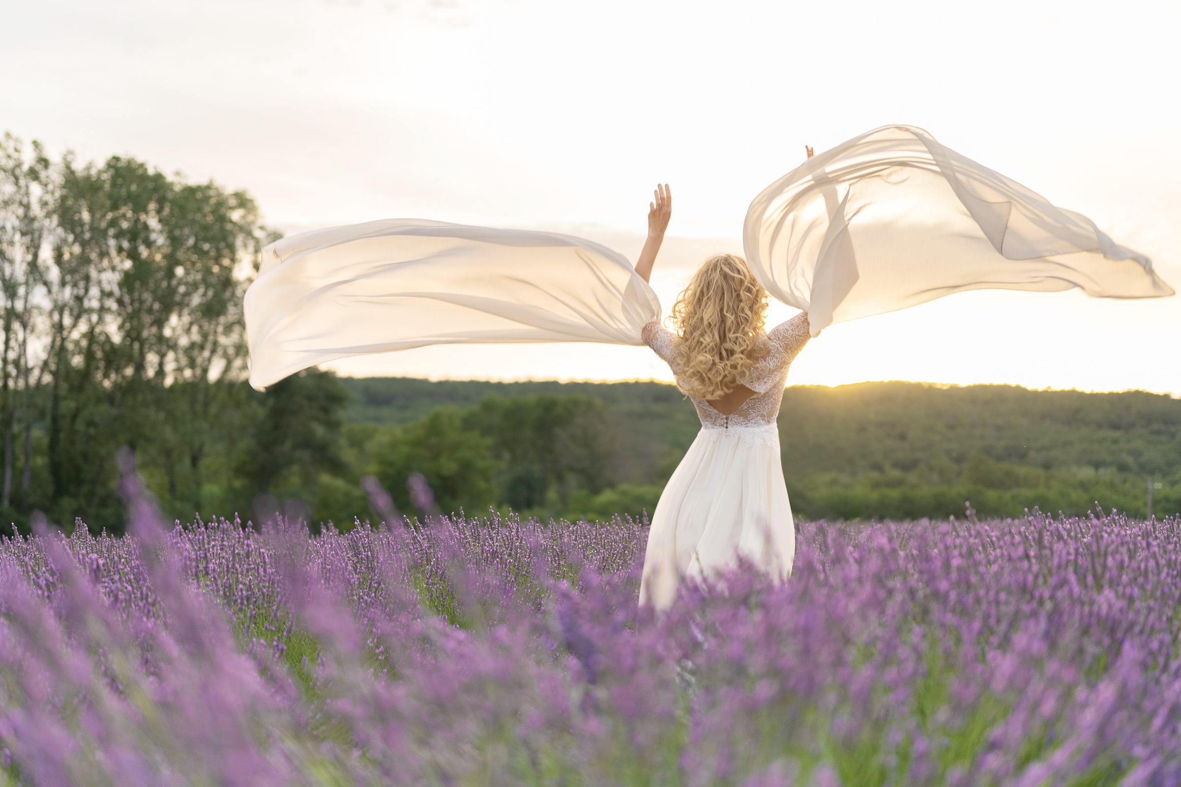 Bride and groom in lavender fields
